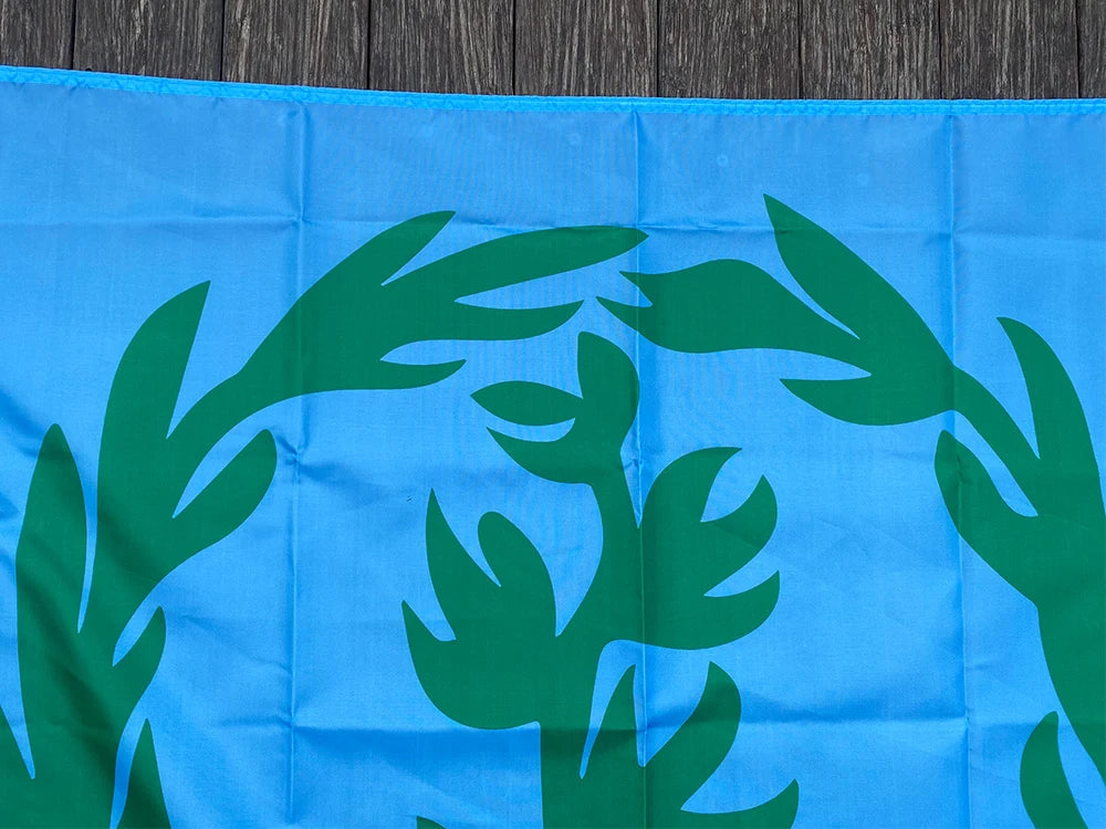 xvggdg custom flag    90*150cm    Historical Flag of Eritrea 1952-1962 ) Size Christmas Decorations for Home Flag Banner